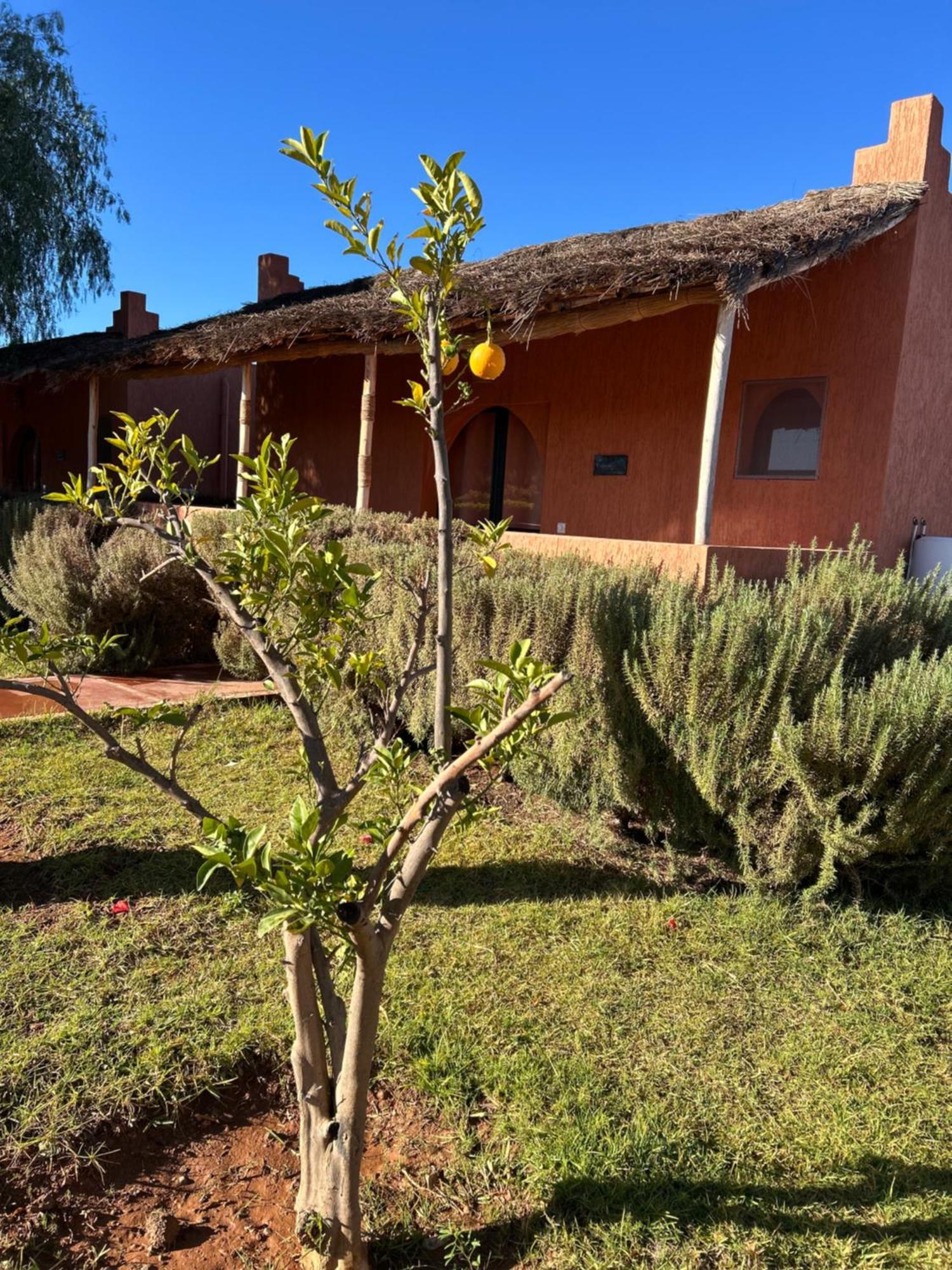 Hotel Les Orangers De L'Ourika Douar Akkara Zewnętrze zdjęcie
